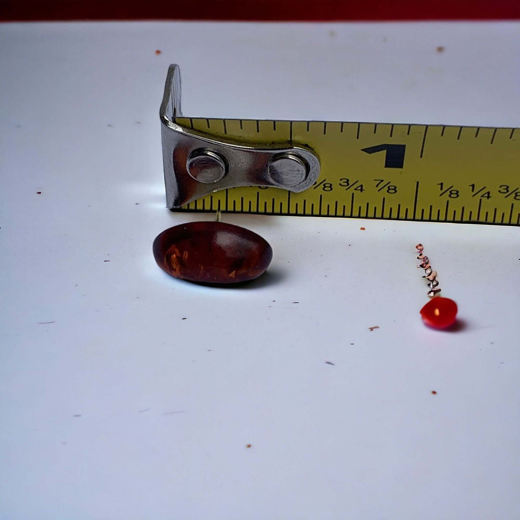 Cognac amber stone and red bead earring with ruler for size comparison.